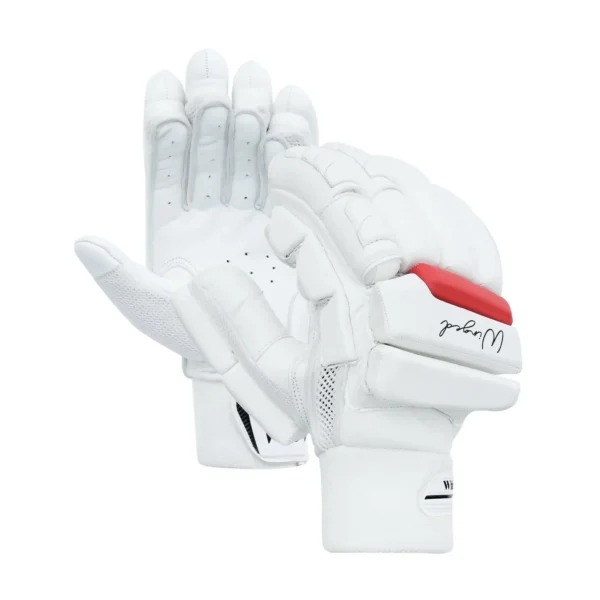 D Sports Winged Players Cricket Batting Gloves - White